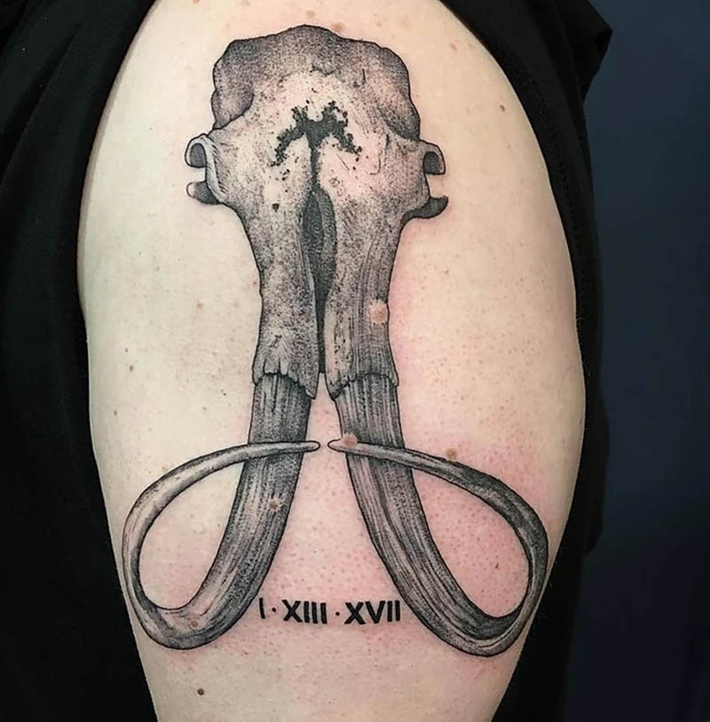 A spin on the Elephants by Dalí; Grace at Forever Gallery Tattoo in Carmel,  IN : r/tattoos