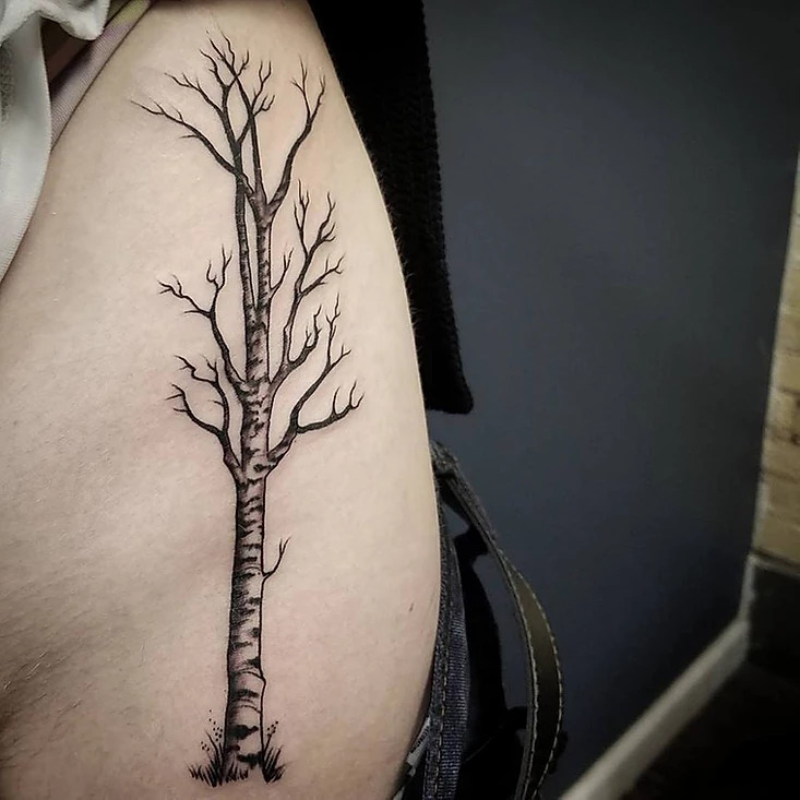 birch tree tattooTikTok Search