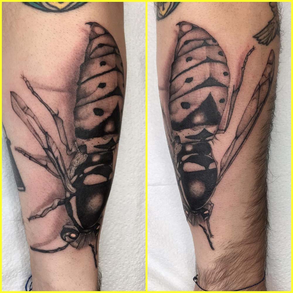 Tattoo uploaded by Morgane • #feather #feathertattoo • Tattoodo
